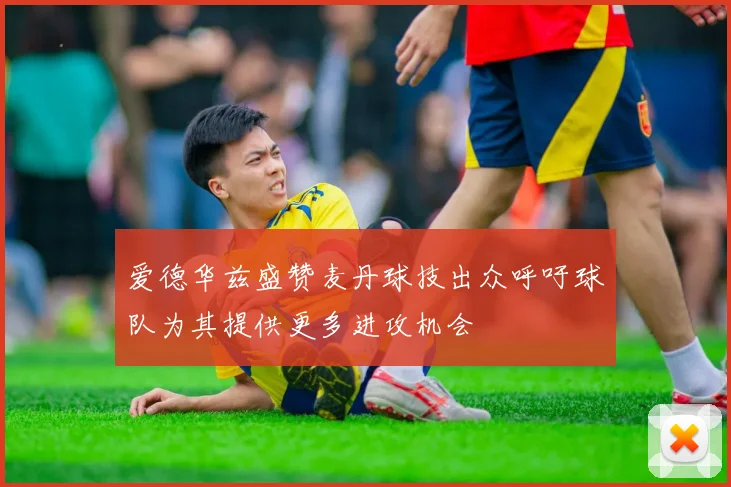 爱德华兹盛赞麦丹球技出众呼吁球队为其提供更多进攻机会